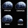 Die besten Bilder in der Kategorie werbung: Brainsize of an african, european, asian and an racist