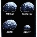 Die besten Bilder:  Position 91 in werbung - Brainsize of an african, european, asian and an racist