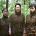 Die besten Bilder in der Kategorie frauen: Bienen-Kleider