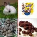 The Best Pics:  Position 82 in  - Funny  : Hasenköttel zum Frühstück - Rabbitshit for Breakfast