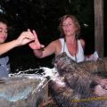 Die besten Bilder:  Position 404 in tiere - Schwein muss kotzen - Pig Vomit