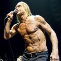 The Best Pics:  Position 121 in  - Funny  : used Iggy Pop