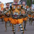 The Best Pics:  Position 166 in  - Funny  : tiger-Bodypainting