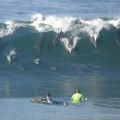 The Best Pics:  Position 39 in  - Funny  : Delphine beim Wellenreiten