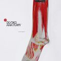 The Best Pics:  Position 71 in  - Funny  : socks, socken, anatomie