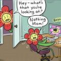 Die besten Bilder in der Kategorie cartoons: Das mit der Biene und der Blume
