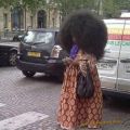 The Best Pics:  Position 56 in  - Funny  : Mega-Afro-Frisur - Respect