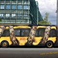Die besten Bilder in der Kategorie werbung: Anakonda  würgt Bus - Zoo Werbung