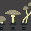 Die besten Bilder:  Position 131 in cartoons - Pilze, fliegen, drogen