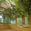 The Best Pics:  Position 57 in  - Funny  : Baumhaus mit Baum-Tapete