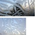 Die besten Bilder in der Kategorie natur: Eiskristalle-Muster
