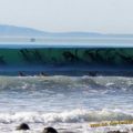 Die besten Bilder in der Kategorie natur: RiesenSeeGras in Welle