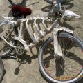 The Best Pics:  Position 50 in  - Funny  : cooles Skelet-Fahrrad