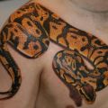 The Best Pics:  Position 34 in  - Funny  : Schlange in 3D mit Schatten Tattoo auf Schulter und Brust