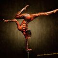 The Best Pics:  Position 51 in  - Funny  : Acrobatic Fantasy Body Art - Bodypainting