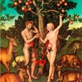 Die besten Bilder in der Kategorie fail: Adam & Eve Anatomy Fail