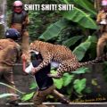 Die besten Bilder in der Kategorie gefaehrlich: Shit Shit Shit  - Leopard greift Mann an