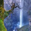 Die besten Bilder in der Kategorie natur: Beautiful Nature - Wasserfall Baum