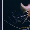 Die besten Bilder in der Kategorie fische_und_meer: Magnapinna squid