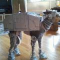 Die besten Bilder in der Kategorie verkleidungen: Star Wars Dog Verkleidung