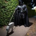 Die besten Bilder in der Kategorie verkleidungen: Darth Vader and Imperial Walker Dog Costumes