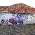 Die besten Bilder in der Kategorie graffiti: Social Network Pig
