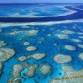 Die besten Bilder in der Kategorie natur: Great Barrier Reef - Beautiful Awesome Nature