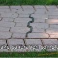 The Best Pics:  Position 31 in  - Snake Calibration Complete - Geometric Snake