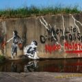 The Best Pics:  Position 98 in  - Molotov Grafitti