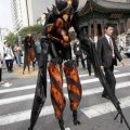 The Best Pics:  Position 118 in  - impressive Insects Dress - Wasp 