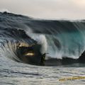 Die besten Bilder:  Position 112 in natur - Große Welle