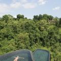 The Best Pics:  Position 44 in  - Terrace Pool in the Forest