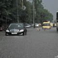 Die besten Bilder in der Kategorie natur: Regen, Schwimmen