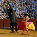 Die besten Bilder in der Kategorie schlimme_sachen: Akrobatischer Stierkampf - Flying Bull