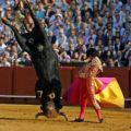 Die besten Bilder:  Position 107 in schlimme sachen - Akrobatischer Stierkampf - Flying Bull