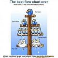 The Best Pics:  Position 3 in  - Best Flow Chart ever