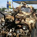 The Best Pics:  Position 88 in  - knocked down? Dead Animals Car