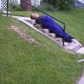 The Best Pics:  Position 63 in  - Sleeping on Stairs - Drunken