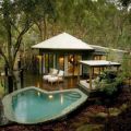 The Best Pics:  Position 71 in  - Nice Living in Forest
