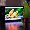Die besten Bilder in der Kategorie quatsch: Porno-Kermit