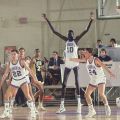 Die besten Bilder in der Kategorie sport: Giant Basketball