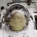 Die besten Bilder:  Position 23 in shit happens - Die Sicht ist zum Kotzen - Astronauten-Essen