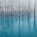 Die besten Bilder in der Kategorie natur: Geiles Photo - zugefrorener See