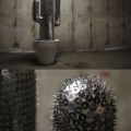 The Best Pics:  Position 35 in  - Thumbtack Cactus