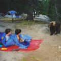 The Best Pics:  Position 247 in  - Exciting Camping