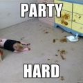 Die besten Bilder in der Kategorie kinder: Party Hard - Scheiß Party