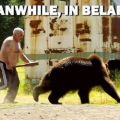 Die besten Bilder in der Kategorie unglaublich: Währenddessen in Weissrussland beim Bären verscheuchen