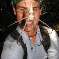 Die besten Bilder:  Position 4 in spinnentiere - Riesen Spinne