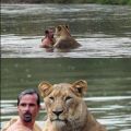 The Best Pics:  Position 66 in  - Lion Bath