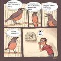Die besten Bilder:  Position 69 in cartoons - Vogelgesang Übersetzung